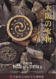 新発見考古速報展 「発掘された日本列島2009」地域展 大阪の宝物－出土品が歴史を語る－